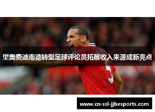 里奥费迪南德转型足球评论员拓展收入来源成新亮点