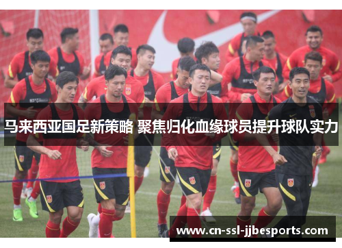 马来西亚国足新策略 聚焦归化血缘球员提升球队实力