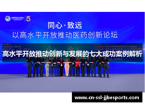 高水平开放推动创新与发展的七大成功案例解析